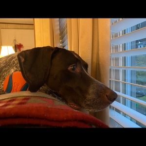 Meet your Posher, Brian